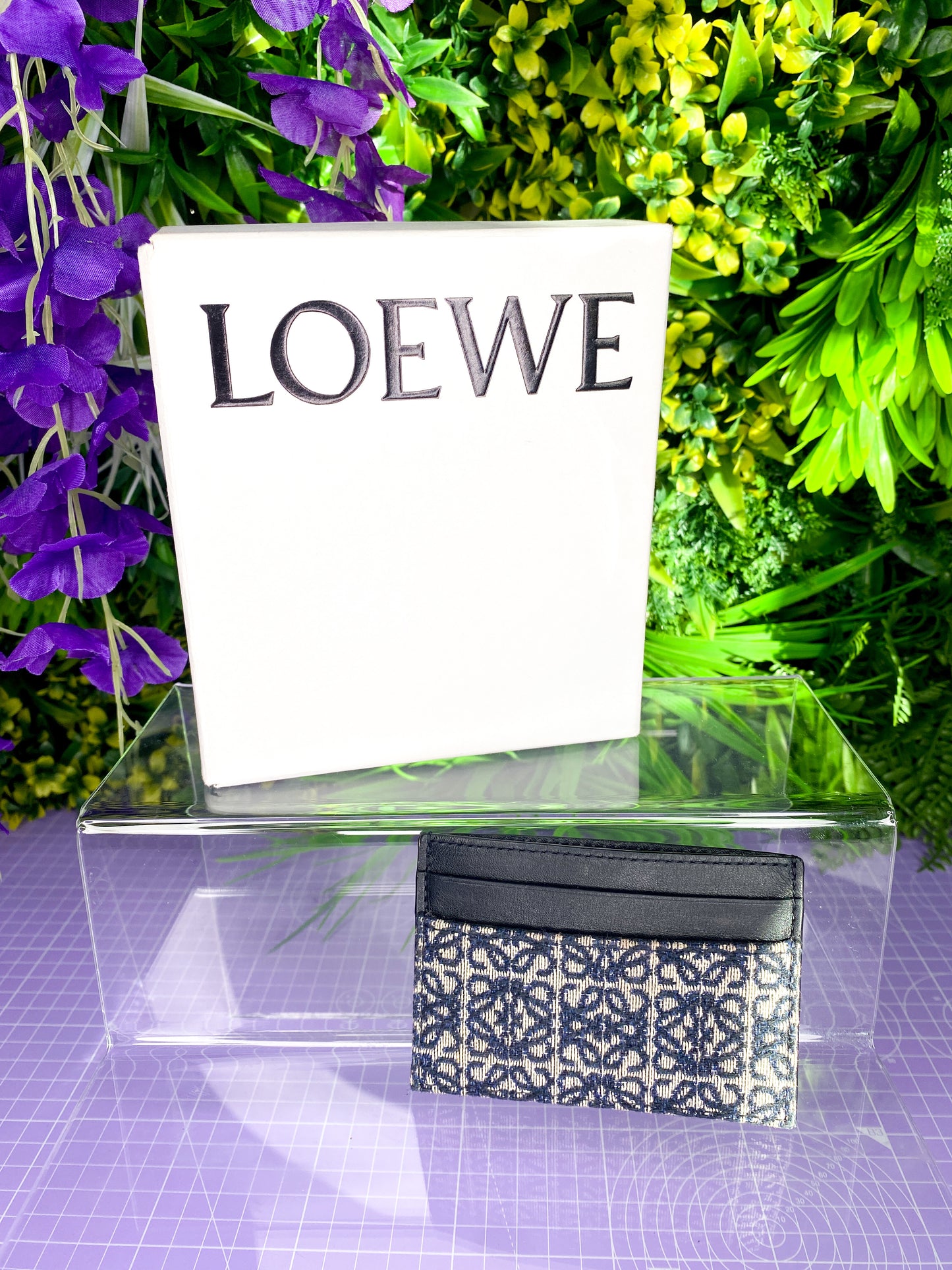 Loewe Plain Cardholder Jacquard & Calfskin Current Season