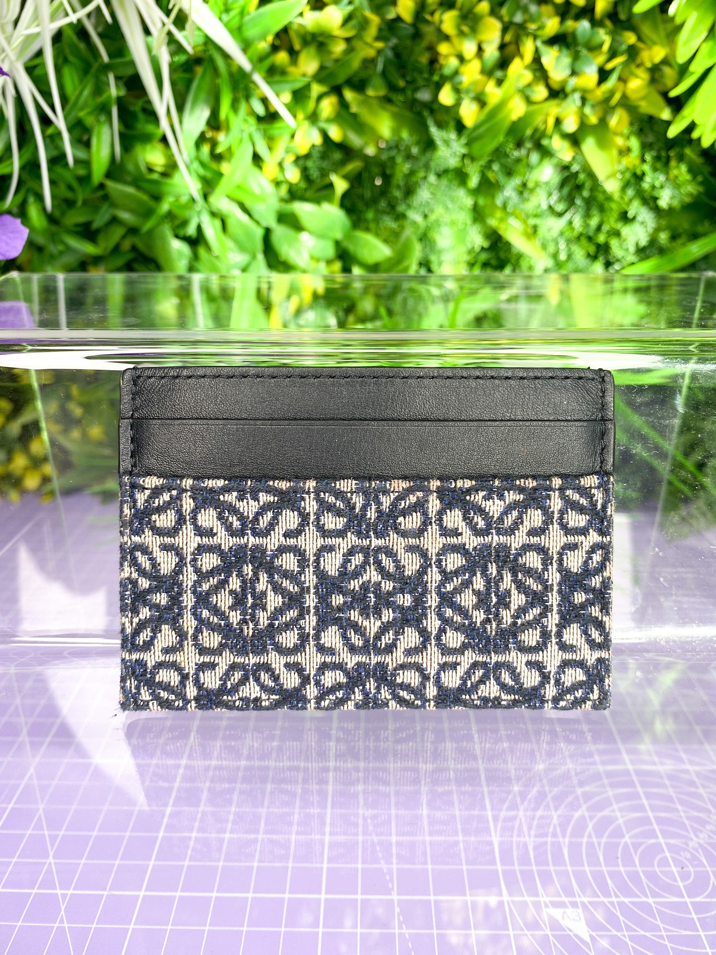 Loewe Plain Cardholder Jacquard & Calfskin Current Season